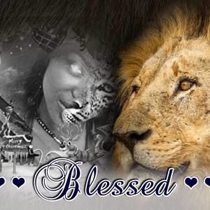 Meet your Posher, Trina